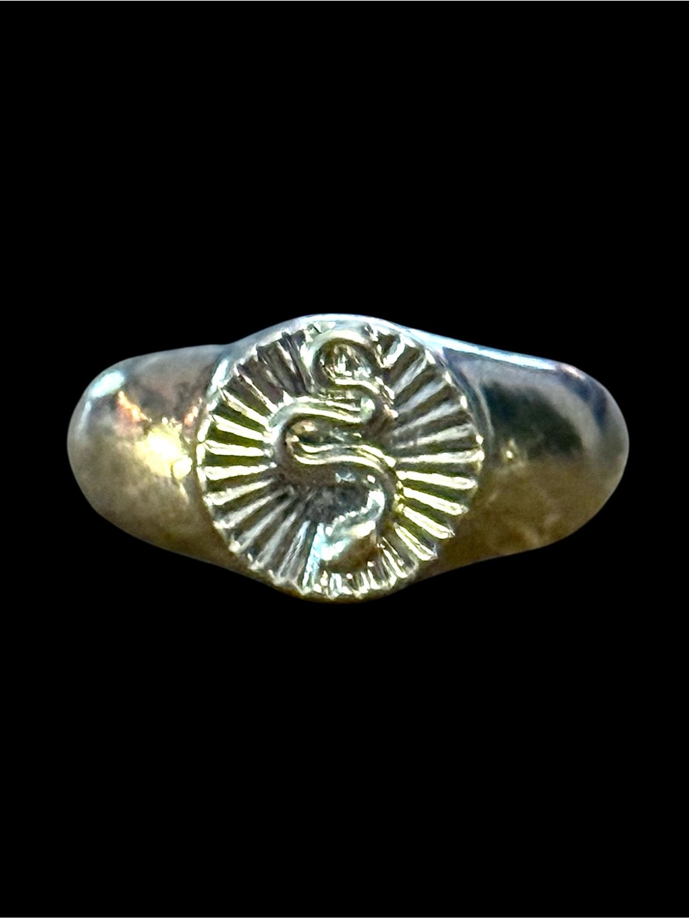 Silver tone snake signet ring
